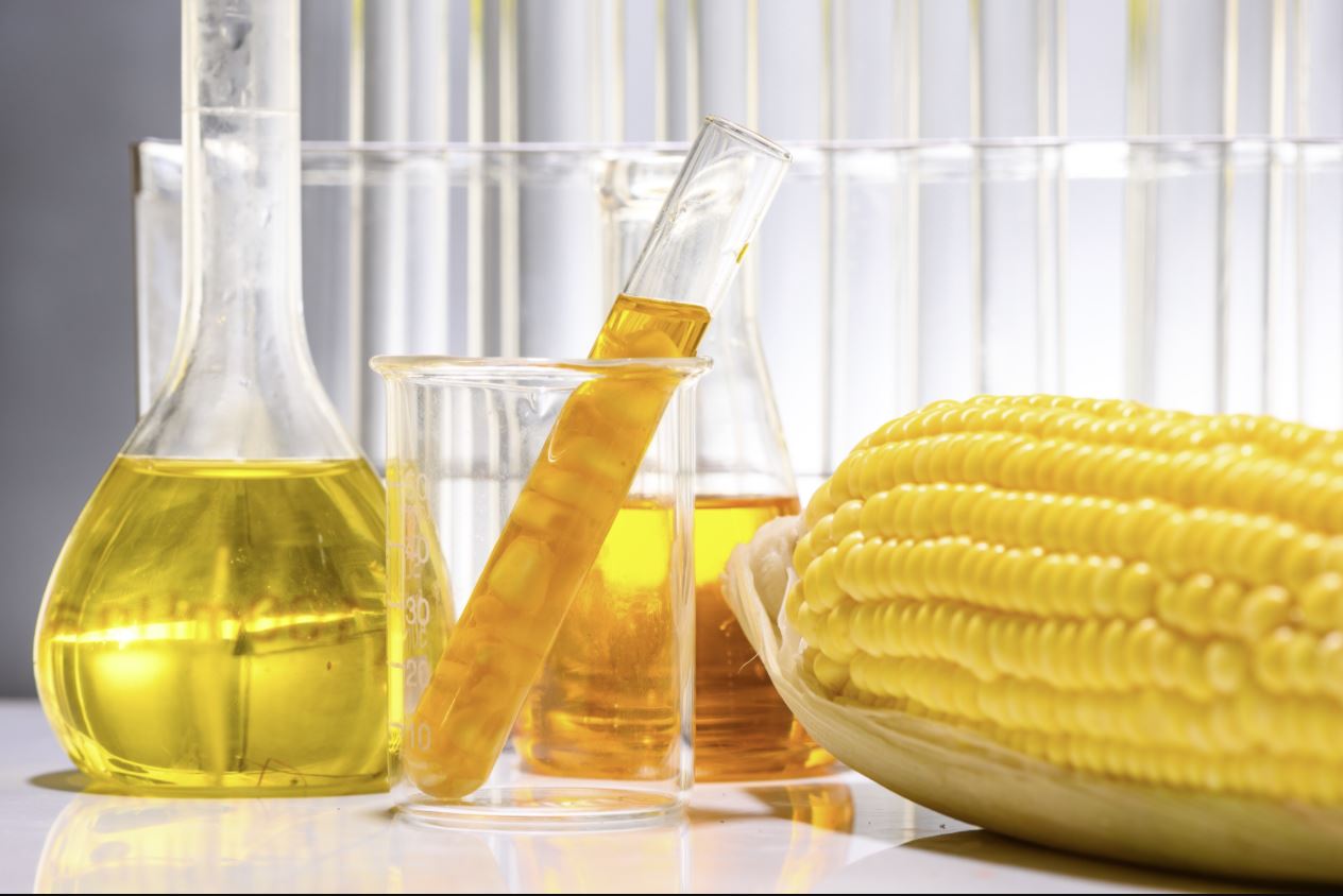 HVOHydrogenated vegetable oil and high value opportunity NexantECA
